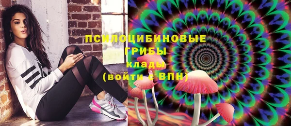 метадон Алексин