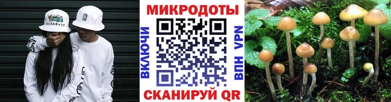 Галлюциногенные грибы мицелий  omg ONION  Костерёво 